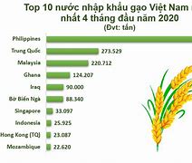 Tỉnh Nào Xuất Khẩu Gạo Nhiều Nhất Việt Nam