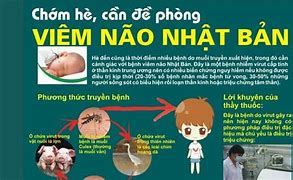 Viêm Não Nhật Bản Thái Lan