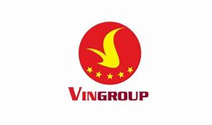 Vingroup Bị Lỗ 2023 Tại Mỹ Là Gì